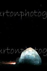 Igloo under the Stars